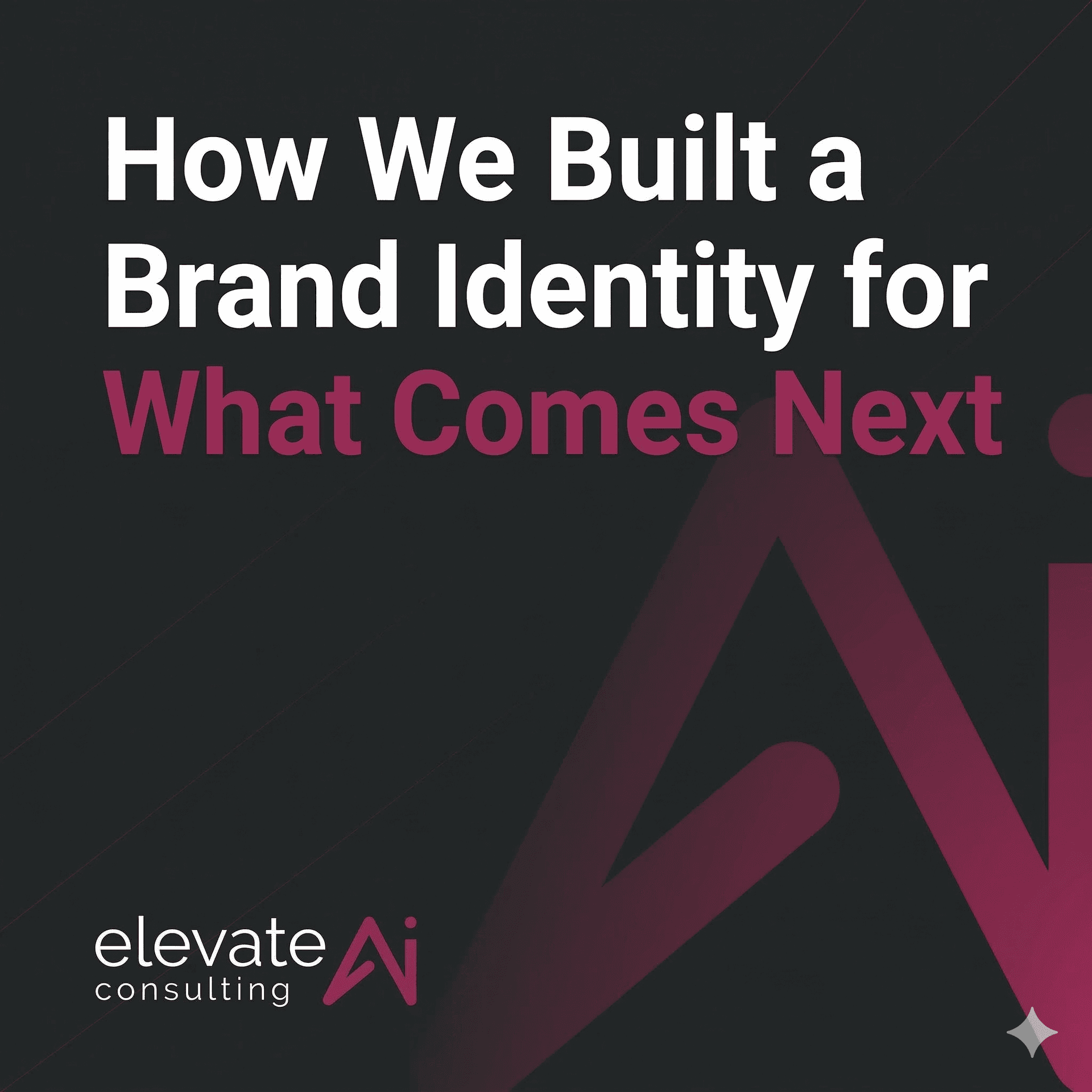 Elevate AI Consulting 2026 rebrand brand identity: logo, graphite and magenta colors, Diogo Carrilho design, eMerge Americas