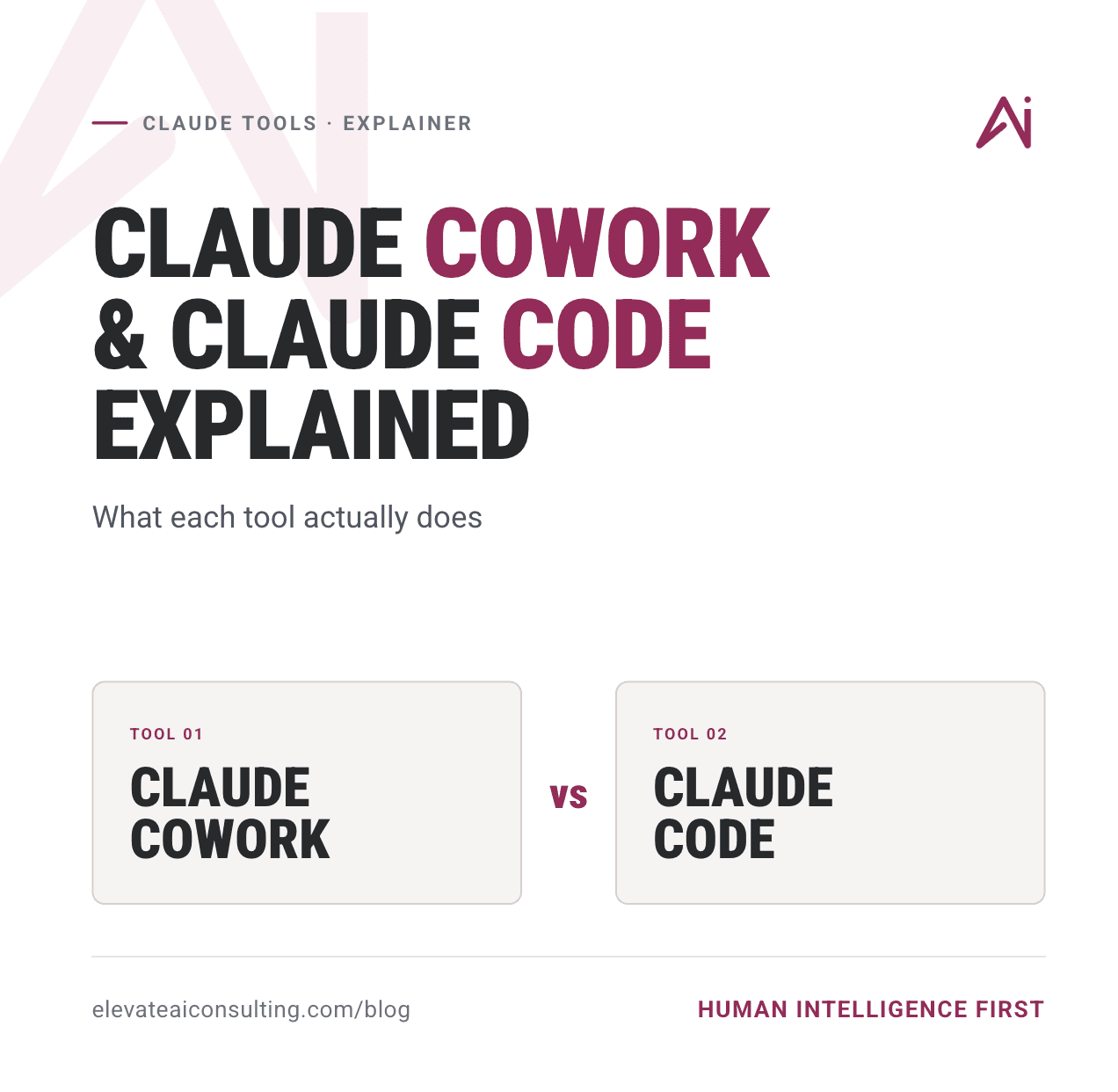 Claude Cowork and Claude Code workshop: Thiago Ferreira of Elevate AI Consulting and Travis McBurney of The McBurney Group